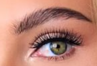 Eyebrow Essential