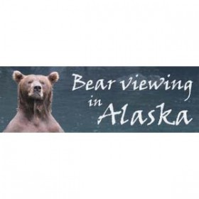 Bear viewing in Alaska