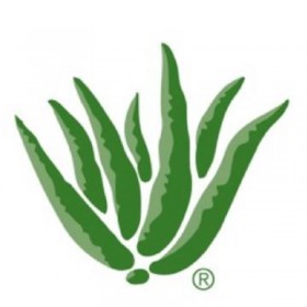 Aloe Up