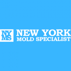 New York Mold Specialist
