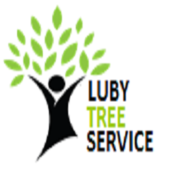 Mckinney Tree Service