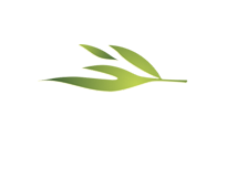 Green Oak Village Apartments