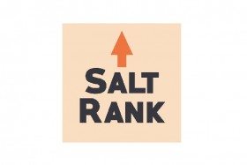 Salt Rank | IT Services