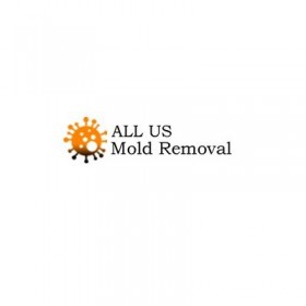 ALL US Mold Removal & Remediation - Plano TX