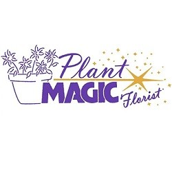 Plant Magic Florist