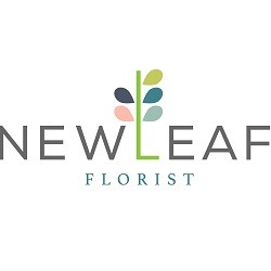 New Leaf Florist in Casady Square