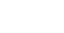 Conde Tech Services, LLC