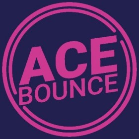 Acebounce Ping Pong Bar