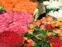 Bernie's Floral & vintage Gardens