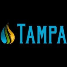 Water Mold Fire Restoration of Tampa