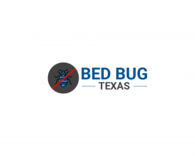 Bed Bug Texas