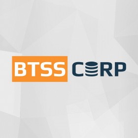 BTSS CORP