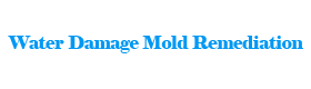 Water Damage Mold Remediation Gaithersburg