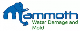 Mammoth Carpet, Water Damage and Mold