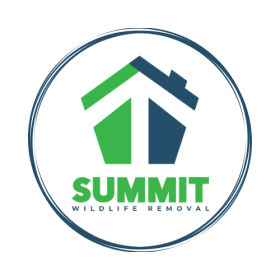 Summit Wildlife Removal