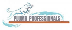 Plumb Professionals Ashburn VA