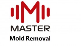 Master Mold removal