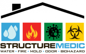 Structure MEDIC