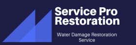 Service Pro Restoration Lenoir