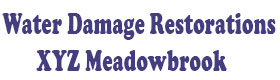 Water Damage Restorations XYZ Meadowbrook