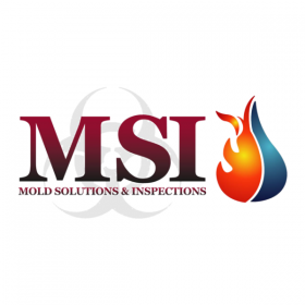 Mold Solutions & Inspections