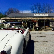 Hayfields Cafe & Florist