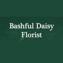 Bashful Daisy Florist