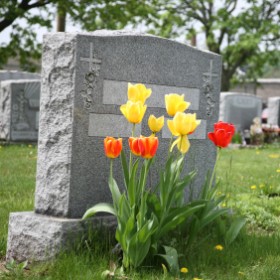 Millennium Cremation Service