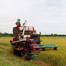 AgriMax LLC