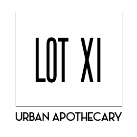 LOT XI LLC