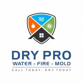 Dry Pro Water Fire Mold Inc