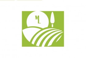 Merchan s Landscaping