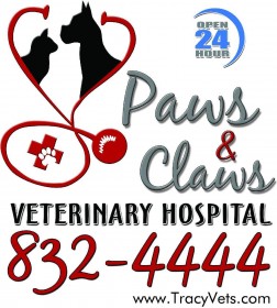 Paws and Claws Veterinary Hospital