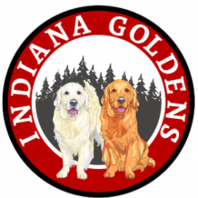 Indiana Goldens