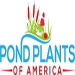 Pond Plants of America