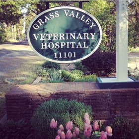 Grass valley veterinary Hospital