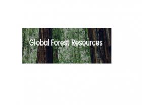 Global Forest Resources