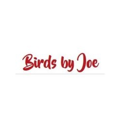Birds by Joe
