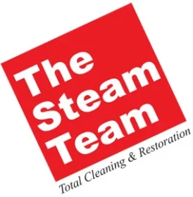 The Steam Team (New)
