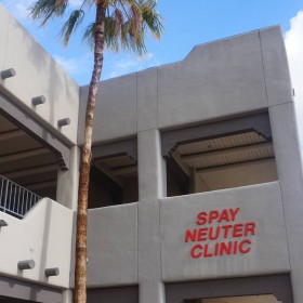 Spay Neuter Clinic: Mesa