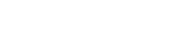 Berkshire Hathaway HomeServices Nevada Properties
