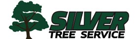 Silver Tree Service, professional tree trimming company Kennesaw GA