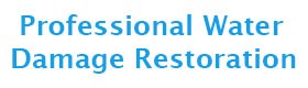Professional Water Damage Restoration