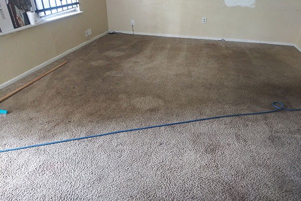 Deep Carpet Cleaning Company Southwest Houston TX