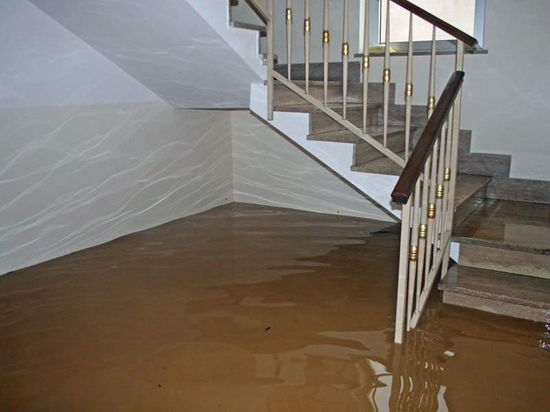 Flooded Finished Basement Brookline MA