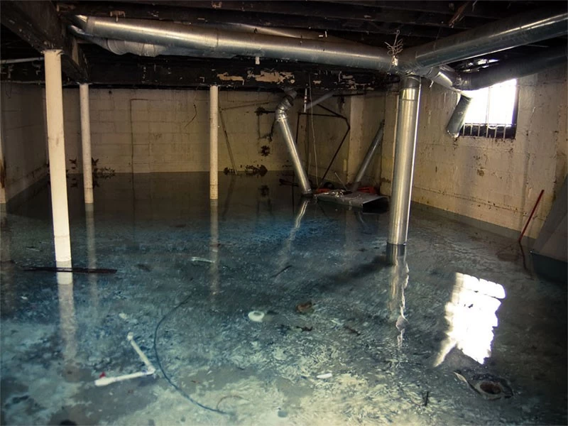 Flooded Basement Cleanup Companies Waltham MA