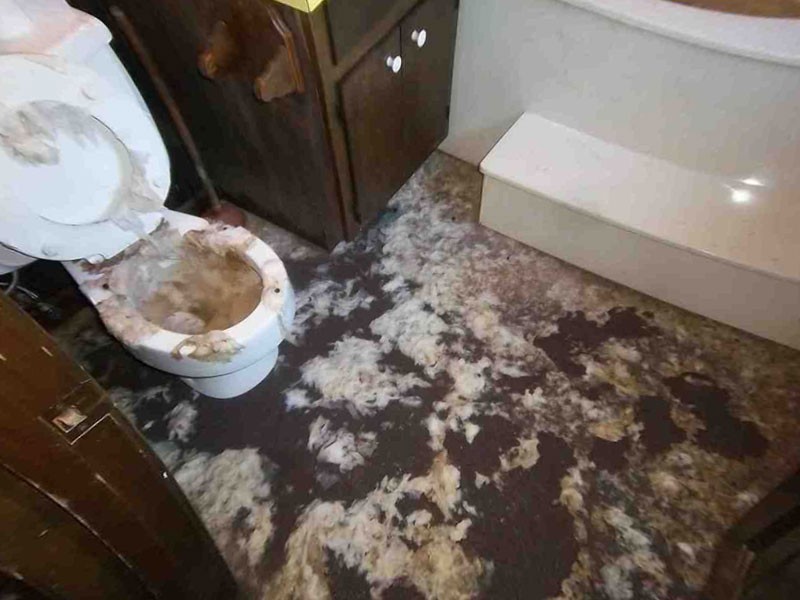 Sewage Backup In Basement Floor Drain Melrose MA