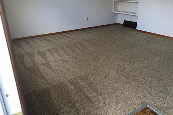 Carpet Cleaning cost Dublin OH