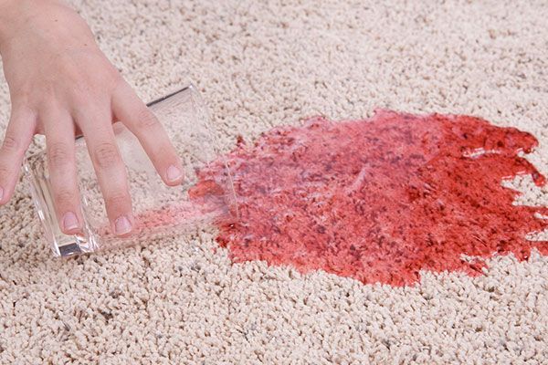 Carpet Stain Cleaning Services Wellington FL