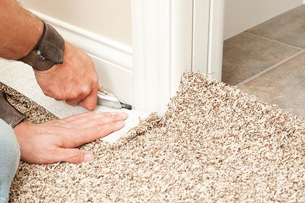 Carpet Odor Removal Englewood CO